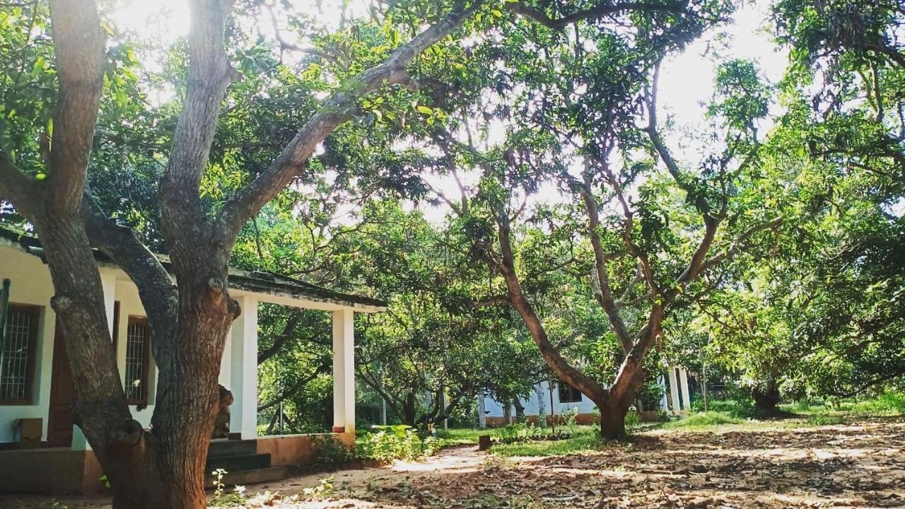 Art Forest Hotel Ауровил Екстериор снимка