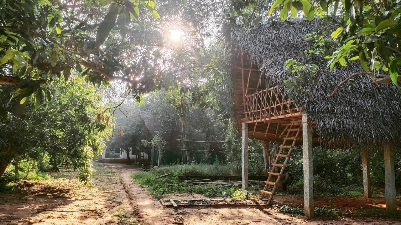 Art Forest Hotel Ауровил Екстериор снимка